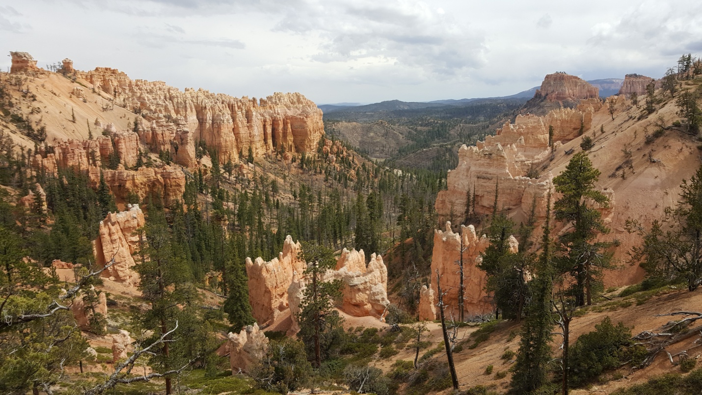 Bryce Canyon 