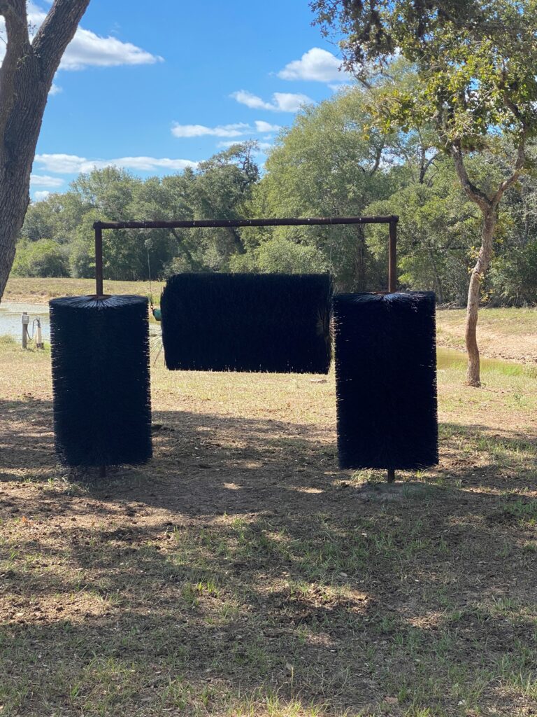 Tubebrooms being used as cattle scratchers